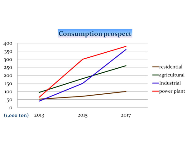 Consumption-Prospect