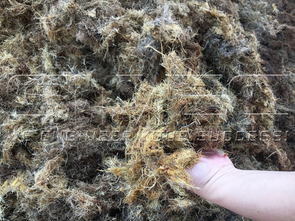 size-of-efb-fiber-after-shredding-crushing-and-drying-on-site