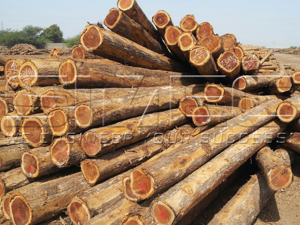 teakwood-log