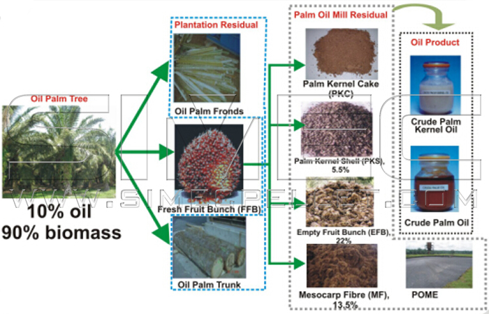 Oil Palm Residues