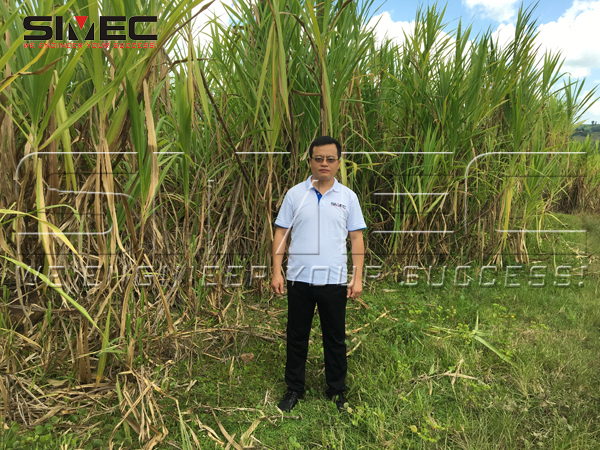 pyrolyzed-rice-husk