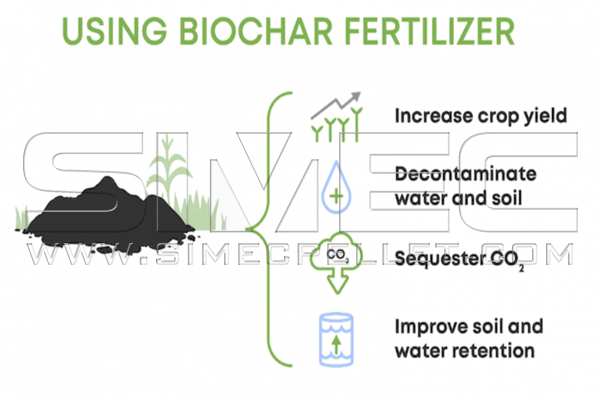 Biochar Fertilizer