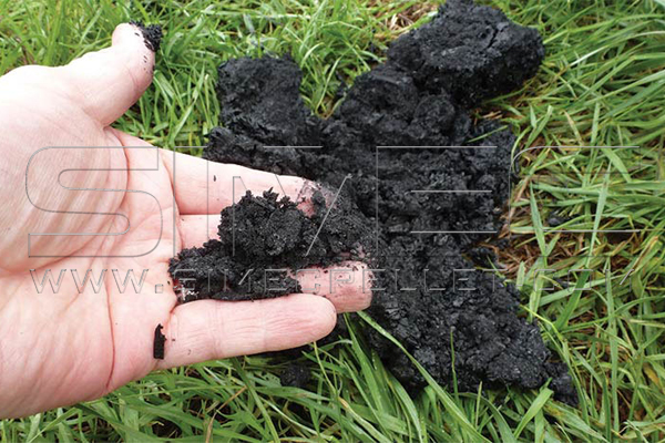 Biochar for Soil