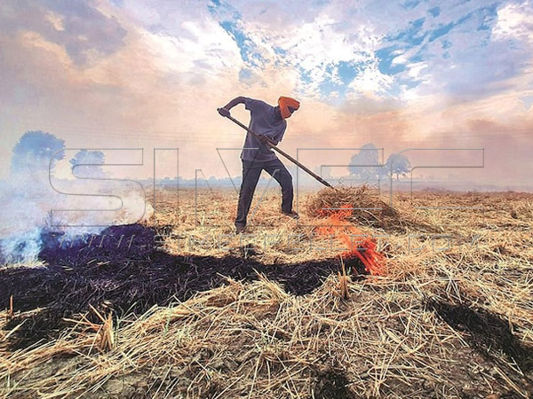 rice-husk-char