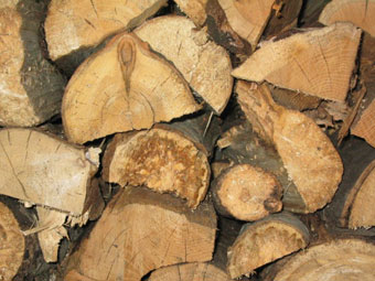 wood-log
