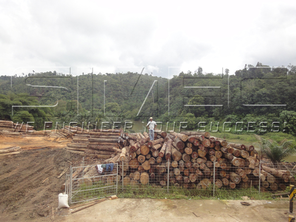 wood-logs-at-padang